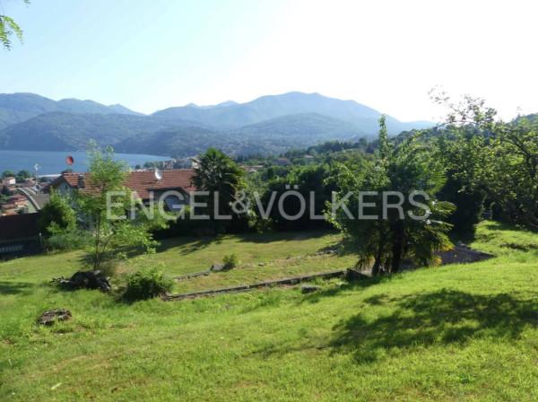 immagine annuncio 4 di 8