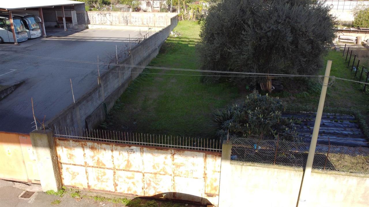 immagine annuncio 5 di 8