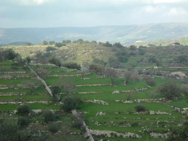 Terreno agricolo in vendita a Modica