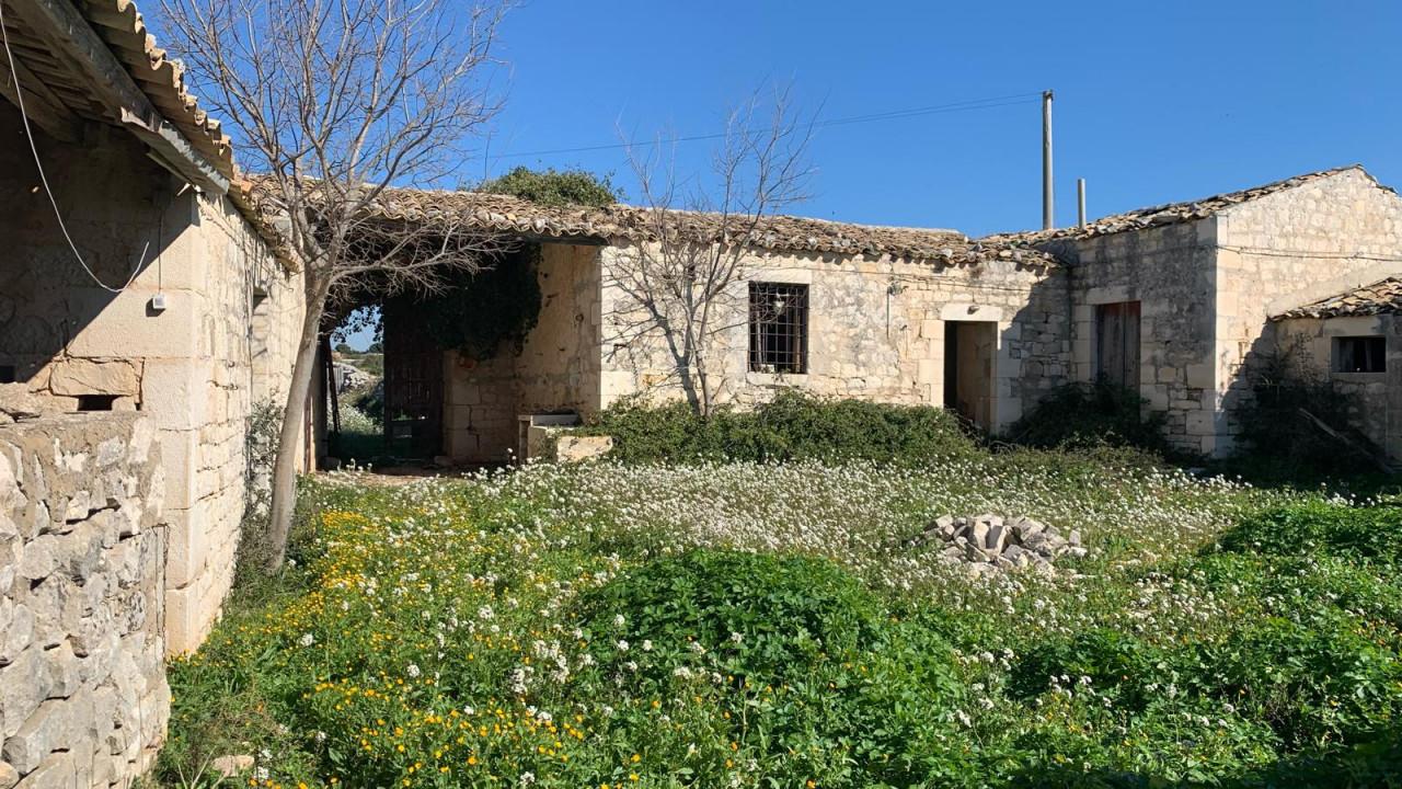 immagine annuncio 11 di 12