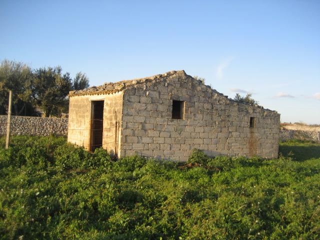 immagine annuncio 4 di 9