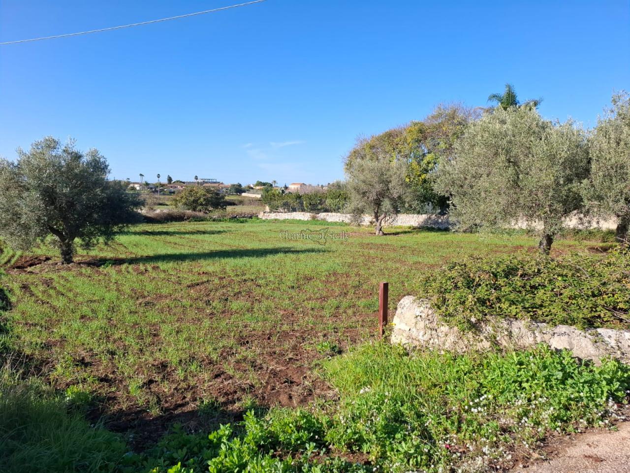 immagine annuncio 1 di 4