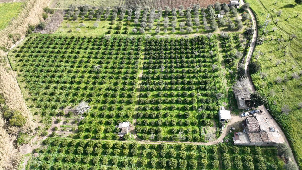 immagine annuncio 0 di 15