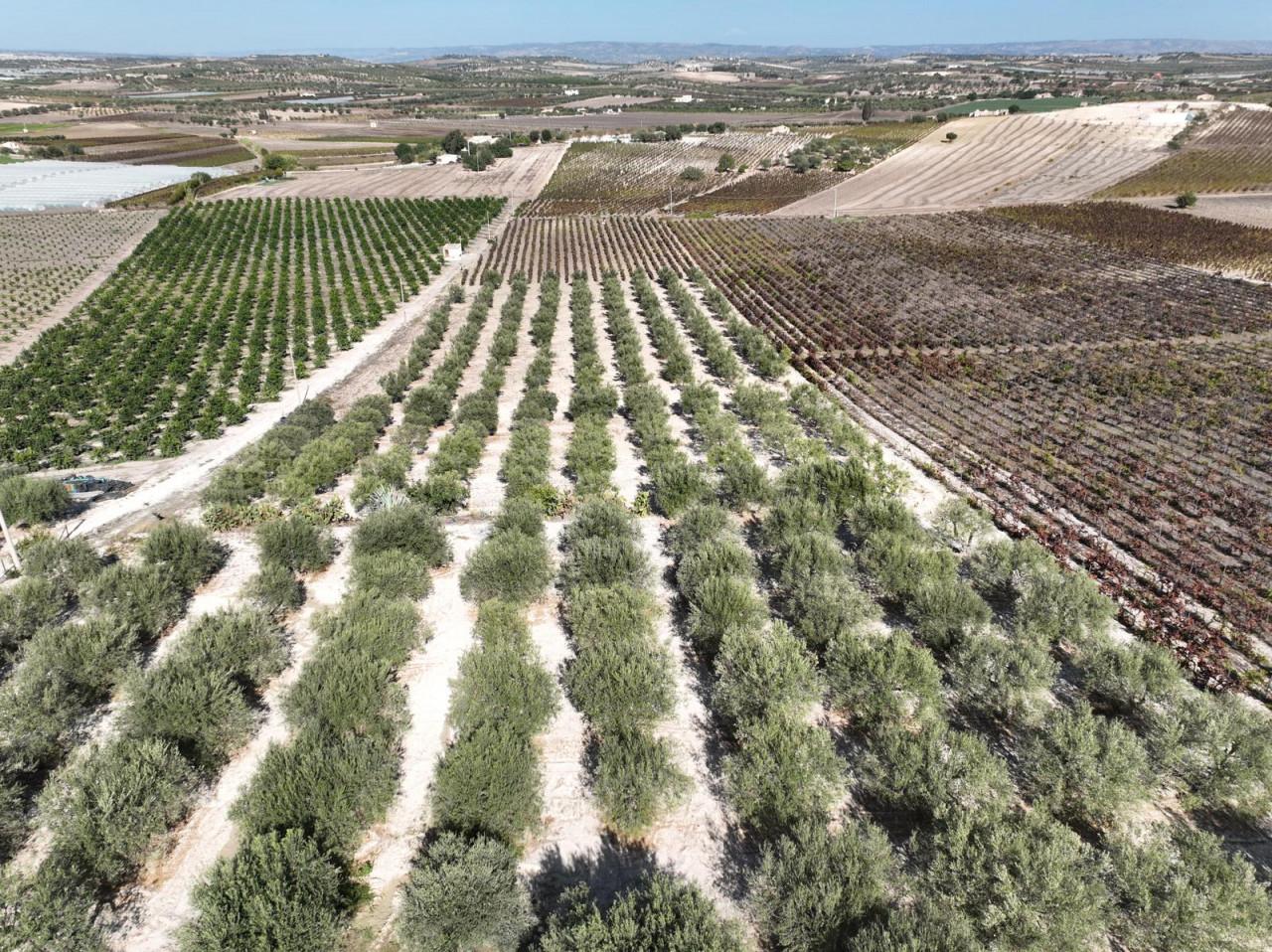 immagine annuncio 4 di 7