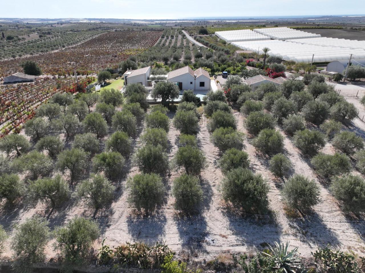 immagine annuncio 5 di 7