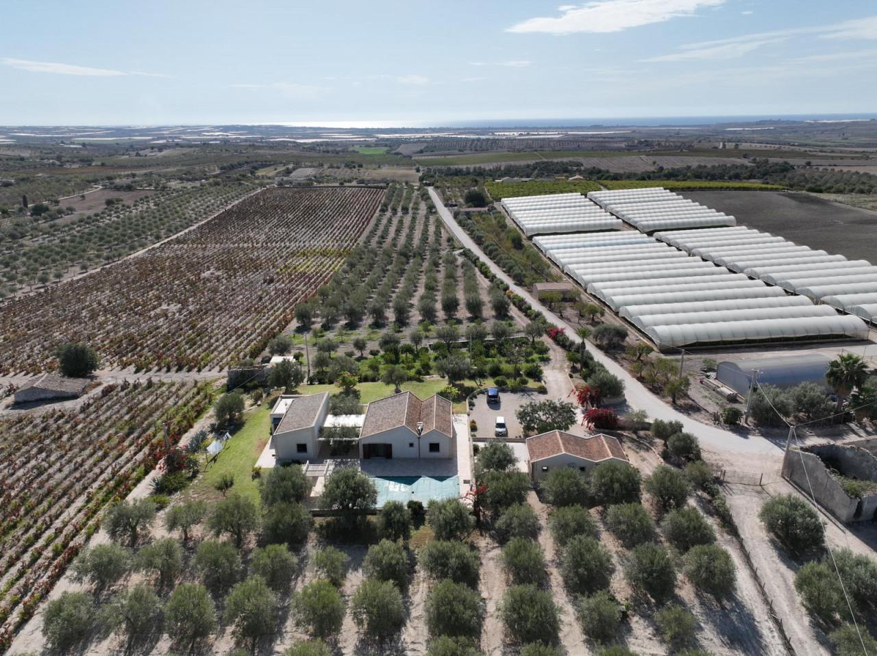 immagine annuncio 6 di 7