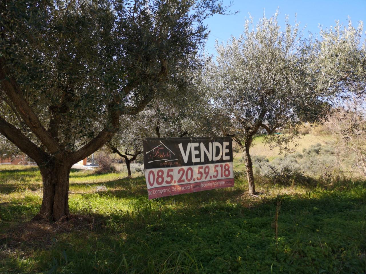 Terreno edificabile residenziale in vendita a Pescara