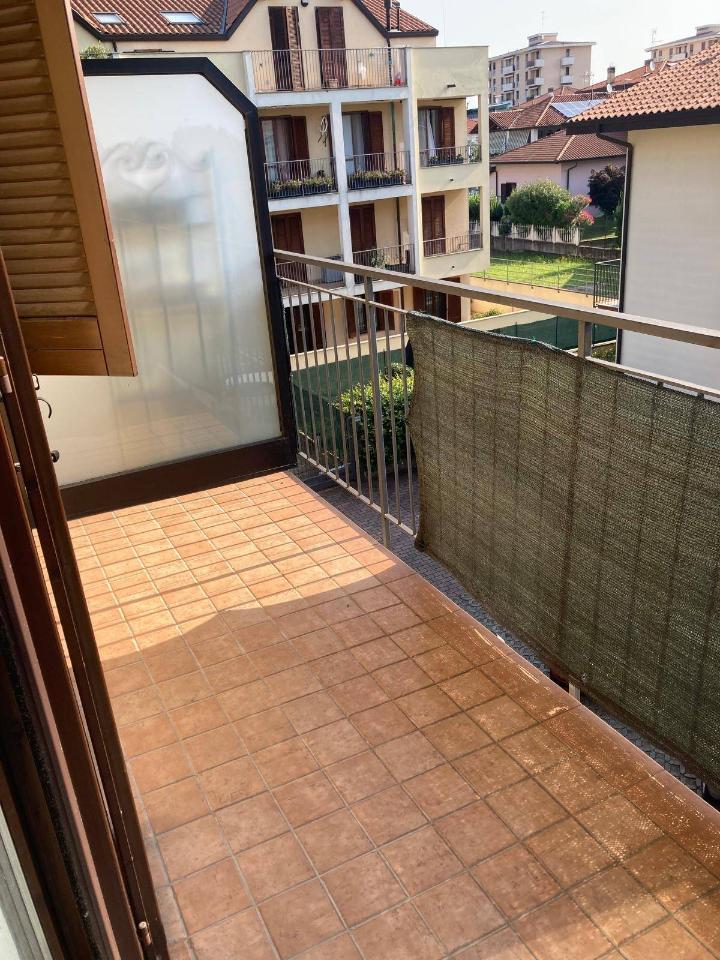 immagine annuncio 4 di 8