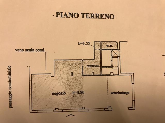 main planimetry real estate image