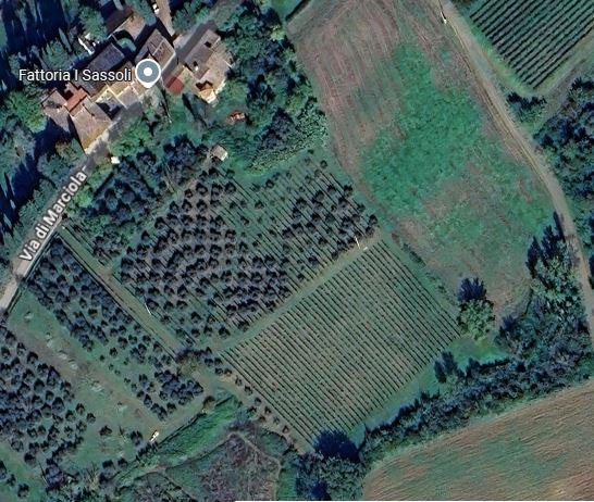 immagine annuncio 1 di 4