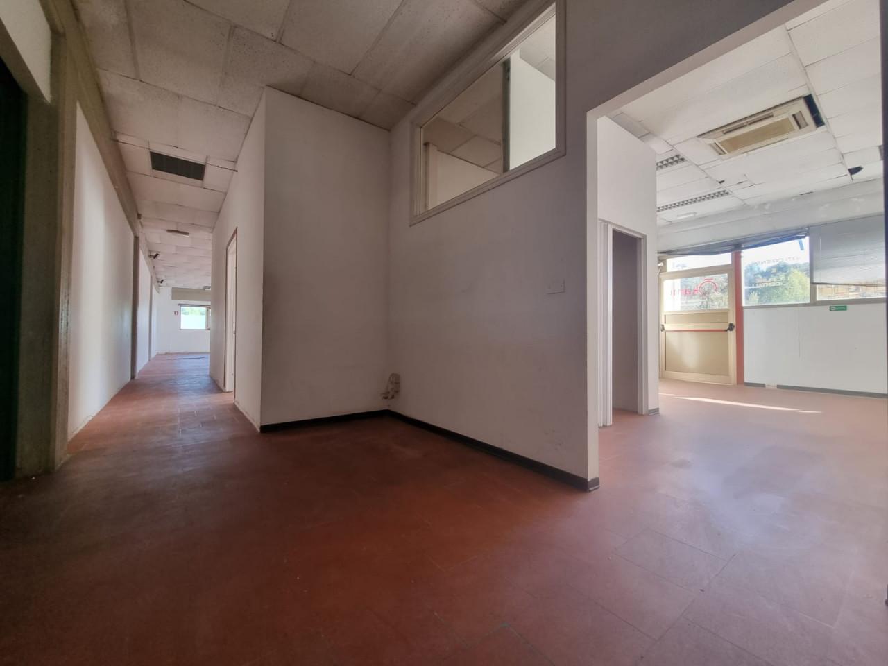 Capannone in Via del Ponte a Iozzi, Firenze, {3} - Foto 1