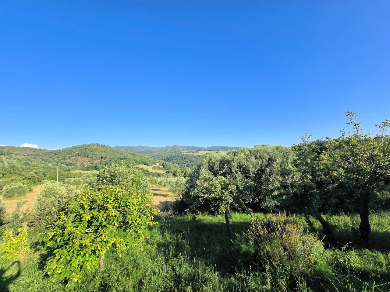 immagine annuncio 8 di 14