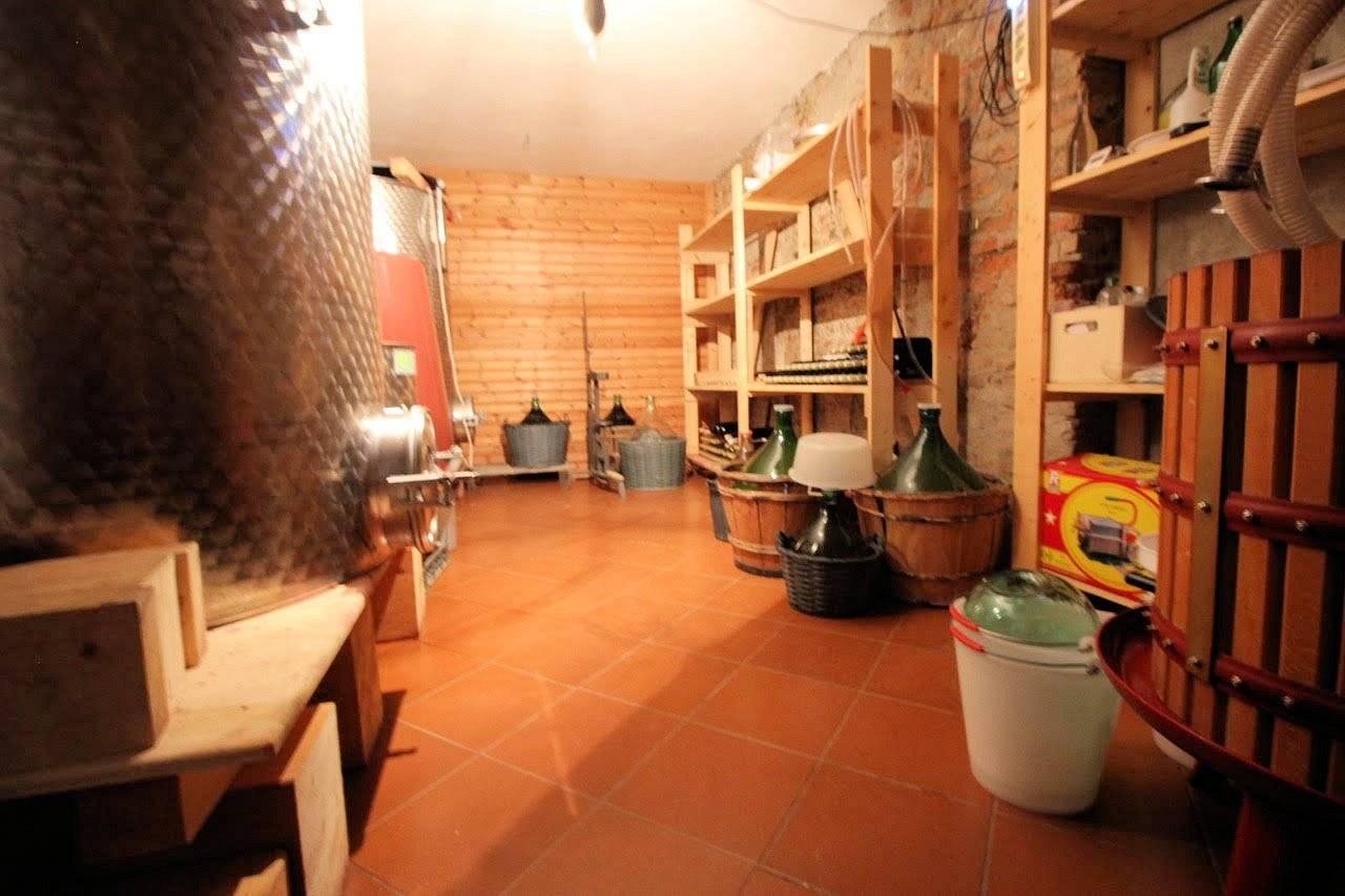 immagine annuncio 11 di 12