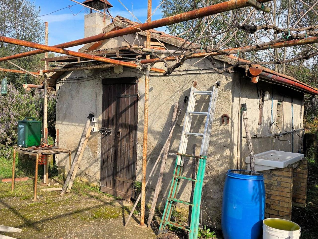 immagine annuncio 6 di 14