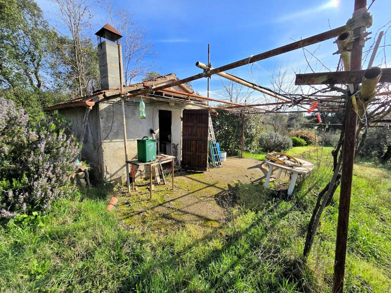 immagine annuncio 12 di 14