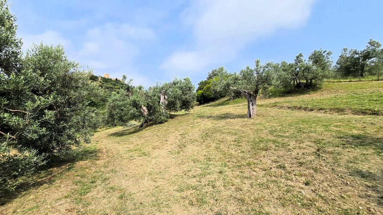 immagine annuncio 11 di 15