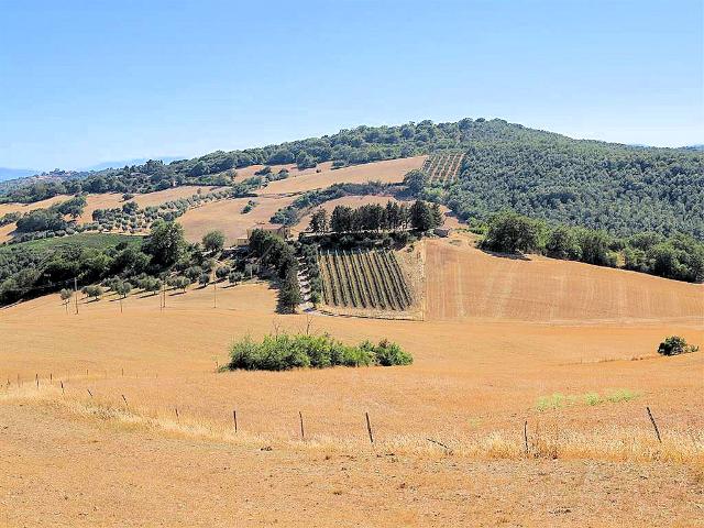 Landhaus in Pereta, Magliano in Toscana - Foto 1