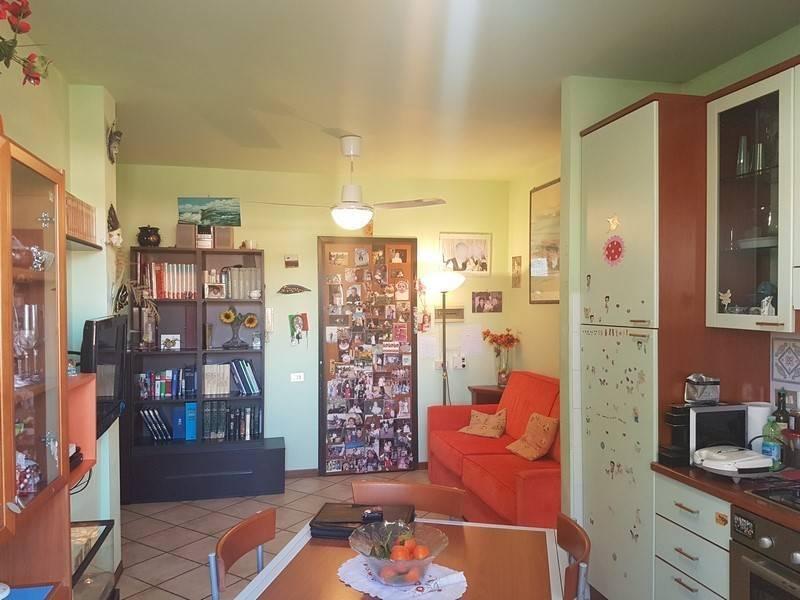 immagine annuncio 2 di 8