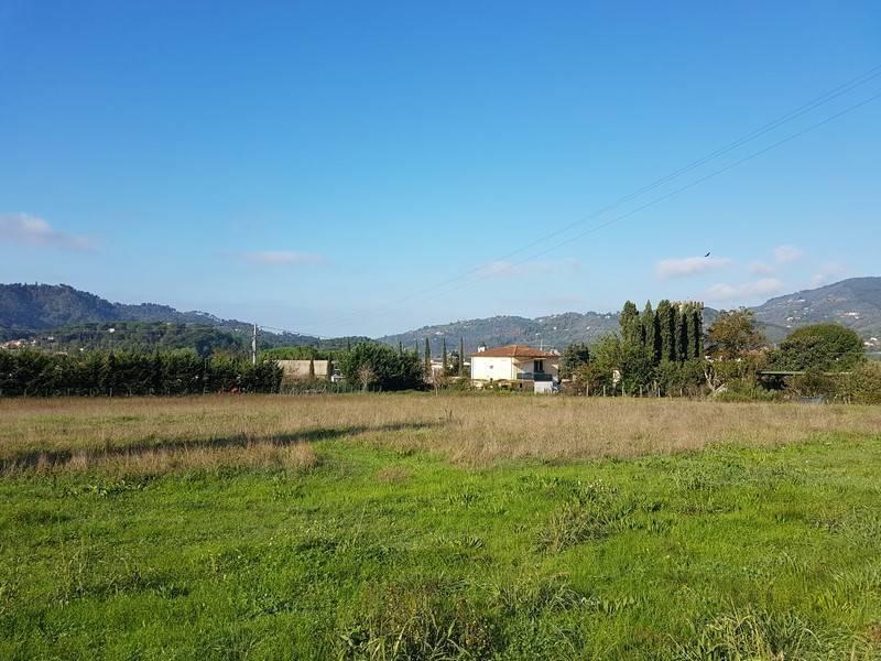 immagine annuncio 4 di 8