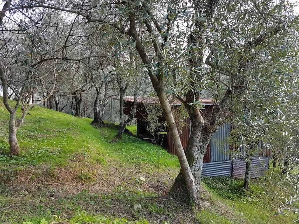 immagine annuncio 6 di 13