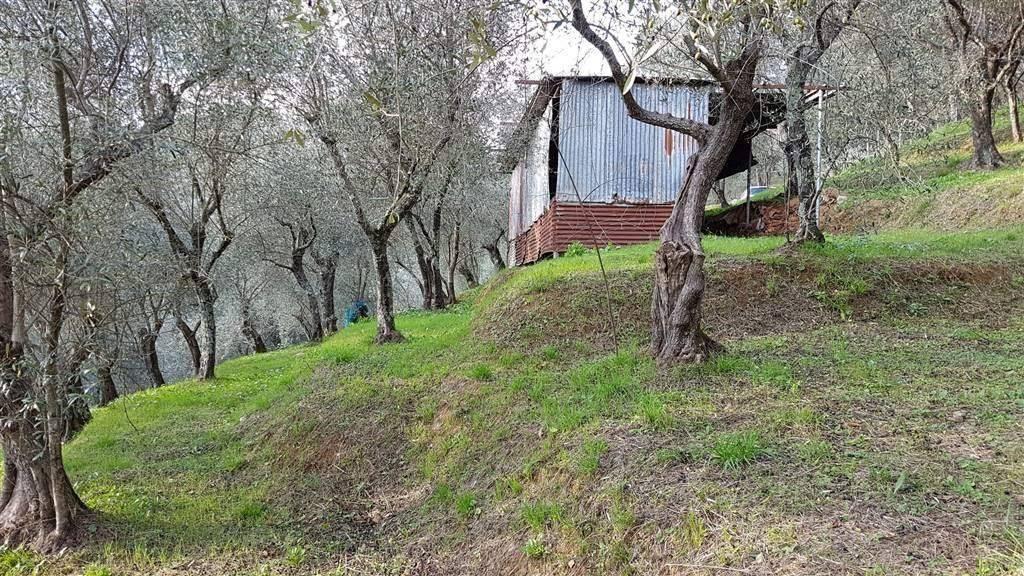 immagine annuncio 8 di 13