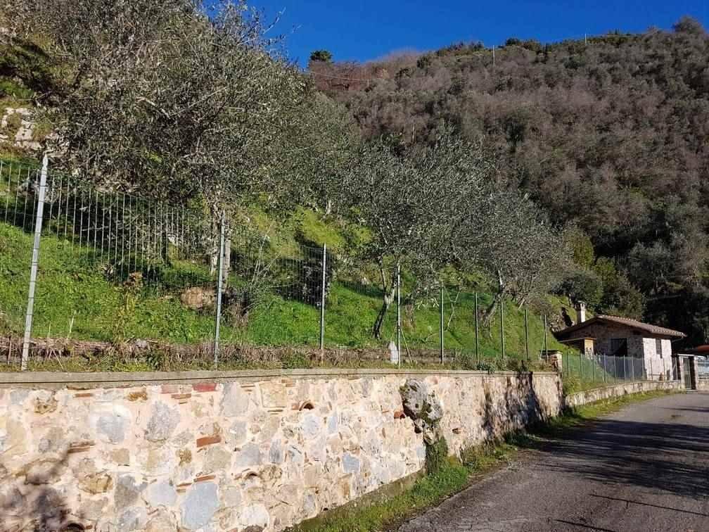 immagine annuncio 4 di 8