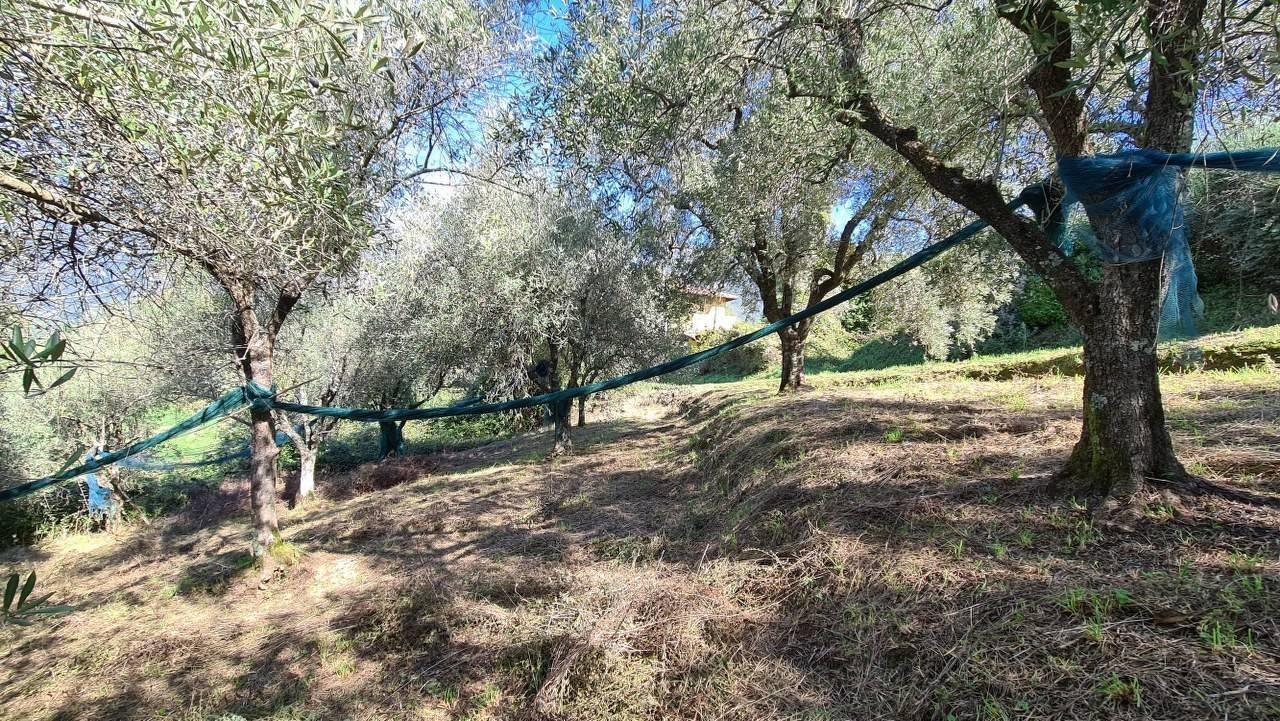 immagine annuncio 2 di 8