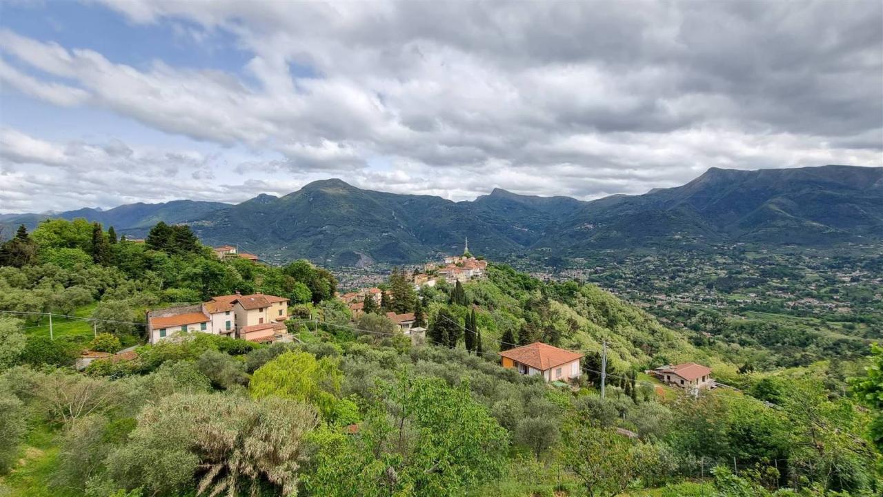 immagine annuncio 2 di 14