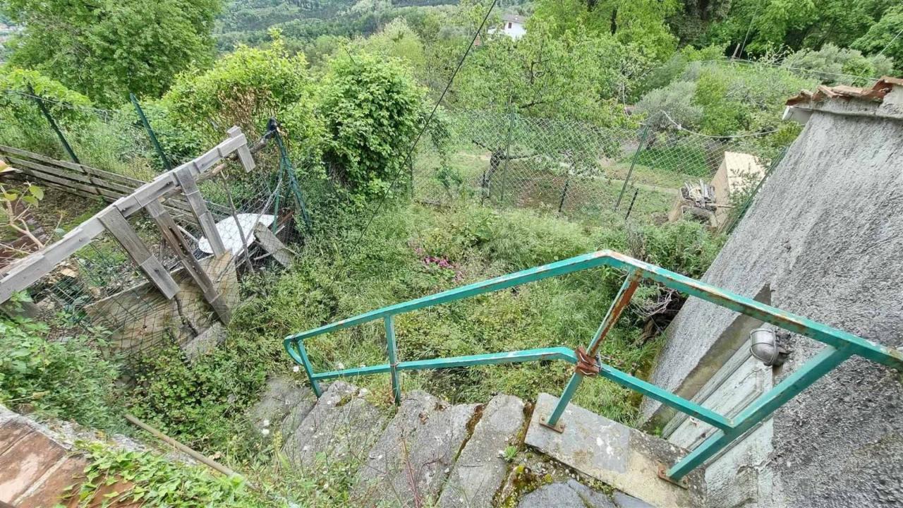 immagine annuncio 13 di 14