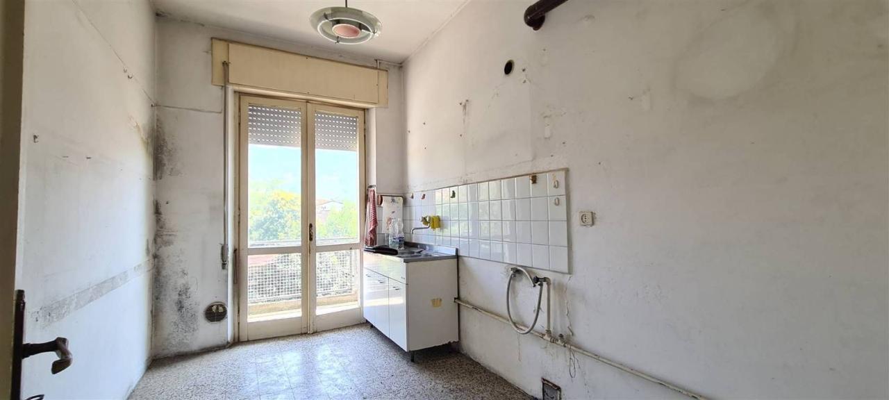 immagine annuncio 5 di 14