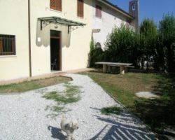 immagine annuncio 2 di 13