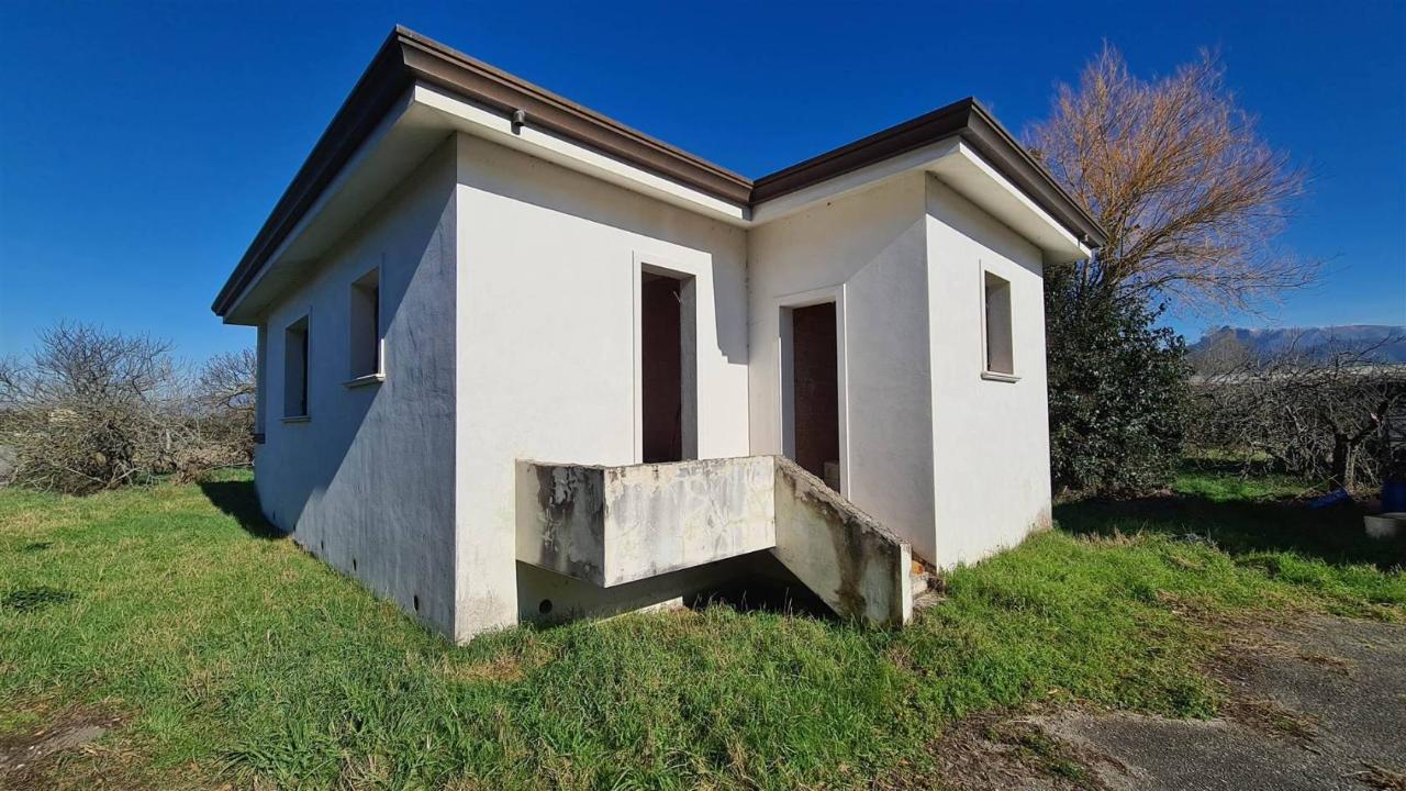 immagine annuncio 2 di 11