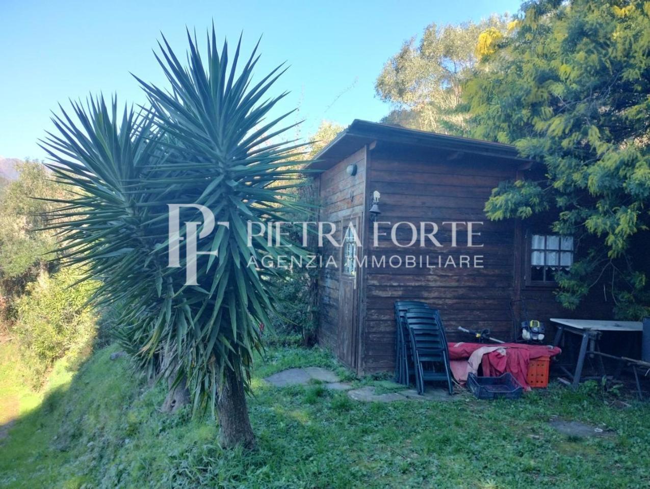 immagine annuncio 4 di 7