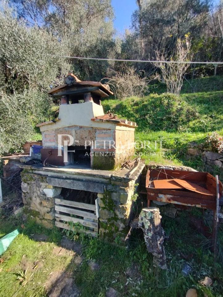 immagine annuncio 3 di 7