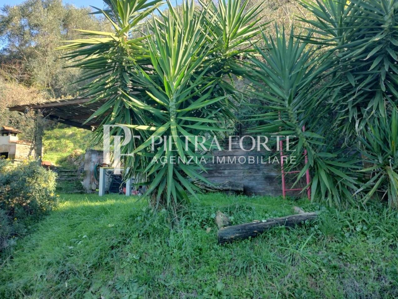 immagine annuncio 5 di 7