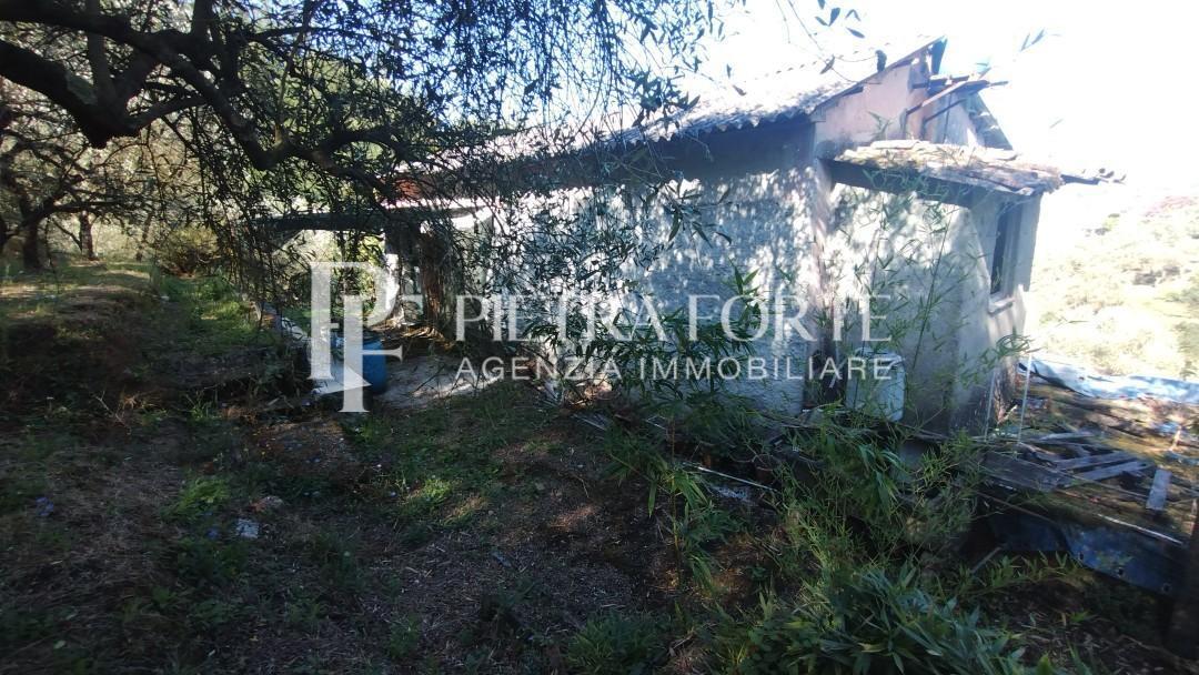 immagine annuncio 7 di 13