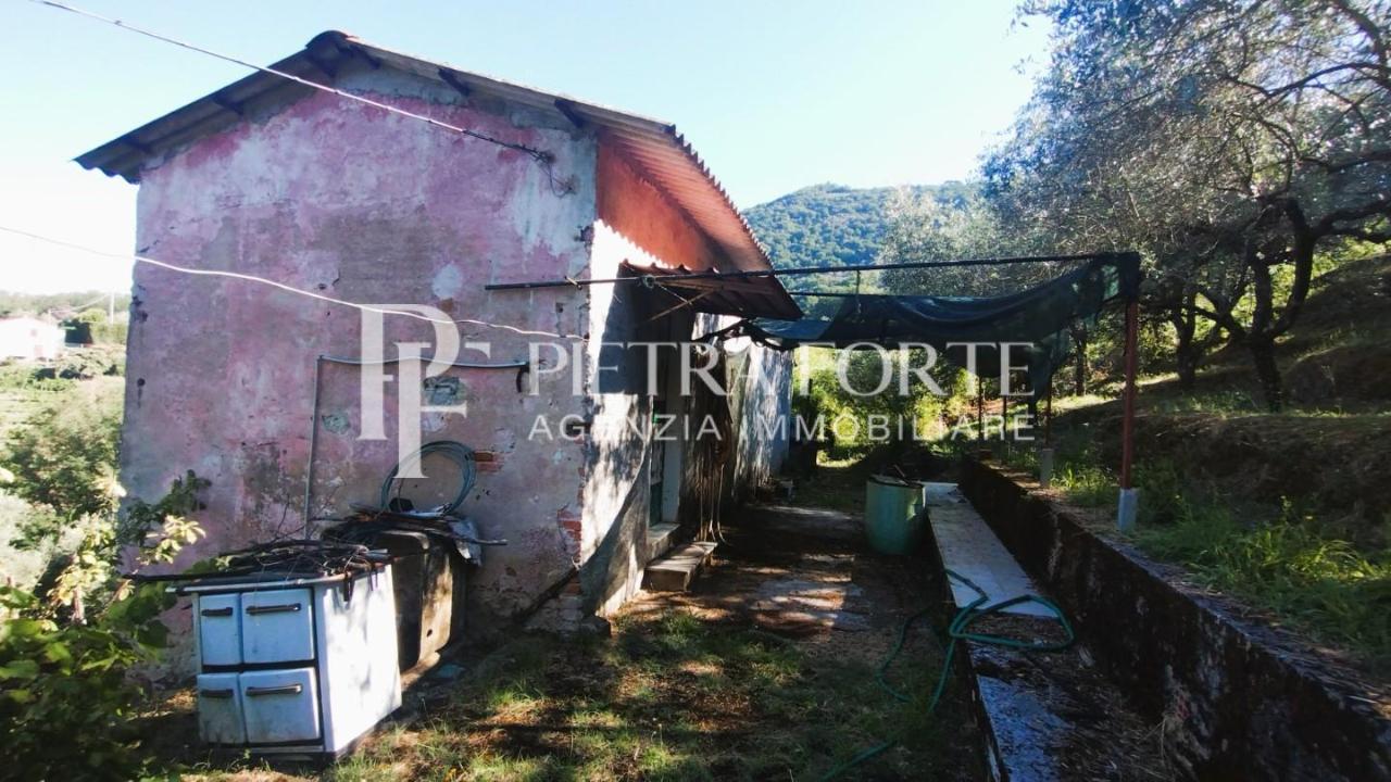 immagine annuncio 3 di 13