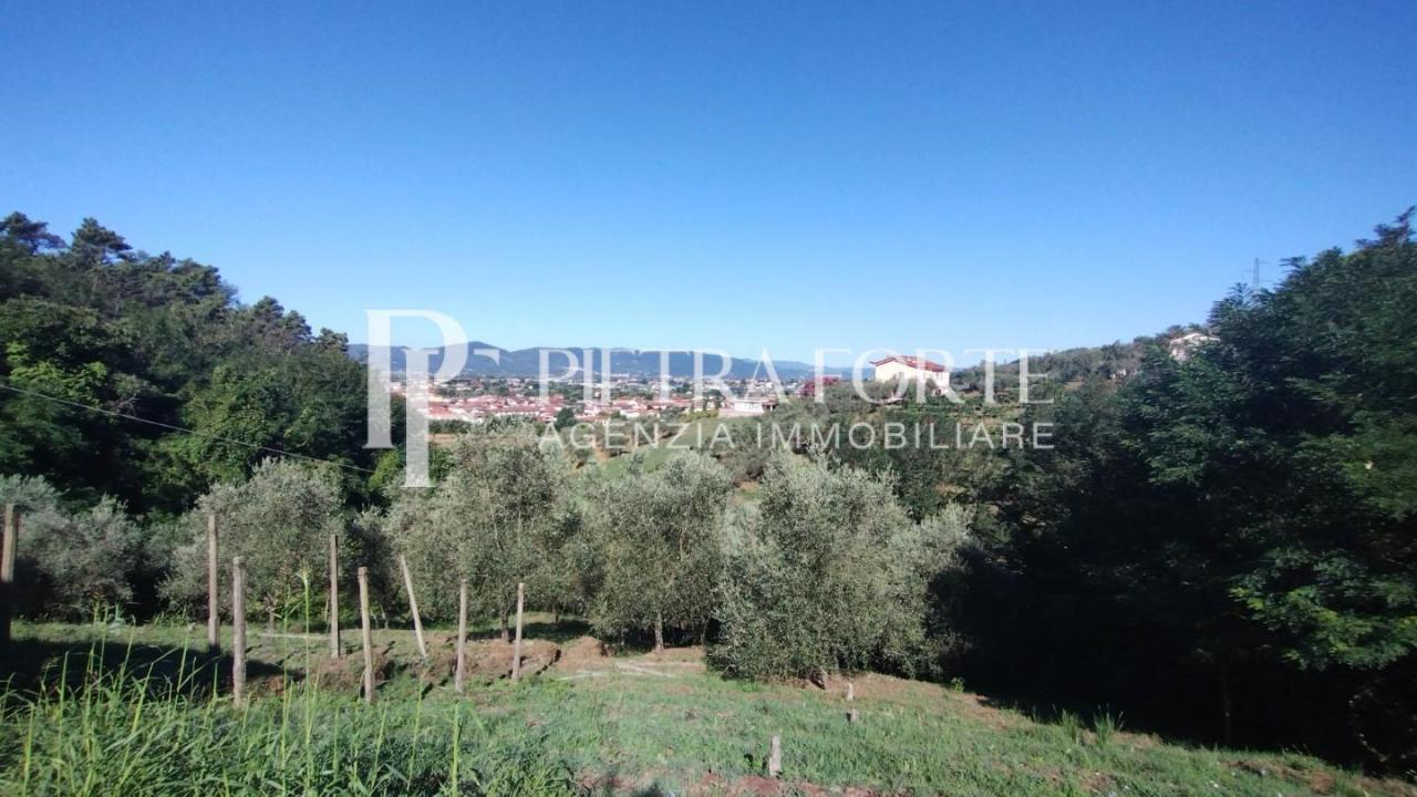 immagine annuncio 5 di 13