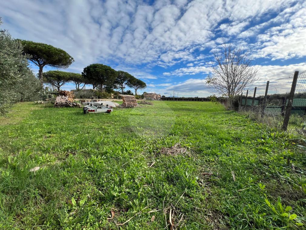 immagine annuncio 7 di 9
