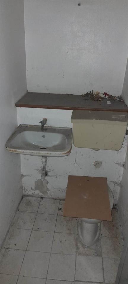 immagine annuncio 4 di 6