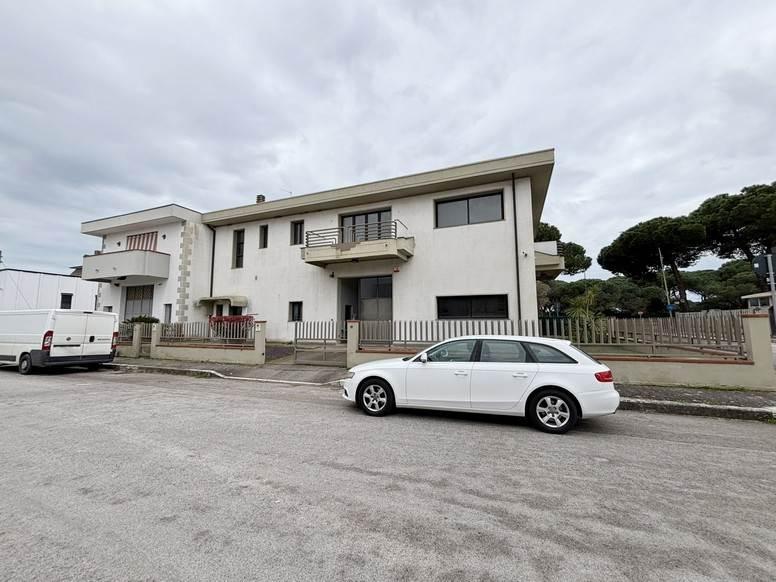 Capannone in , Grosseto, {3} - Foto 2