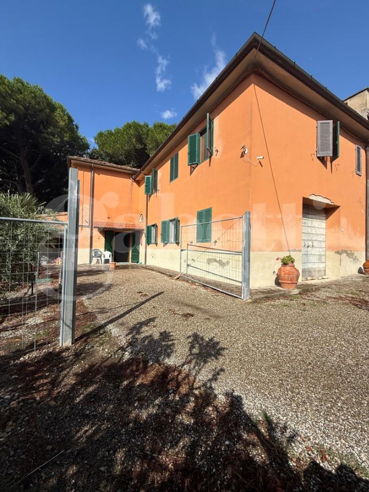 immagine annuncio 1 di 14