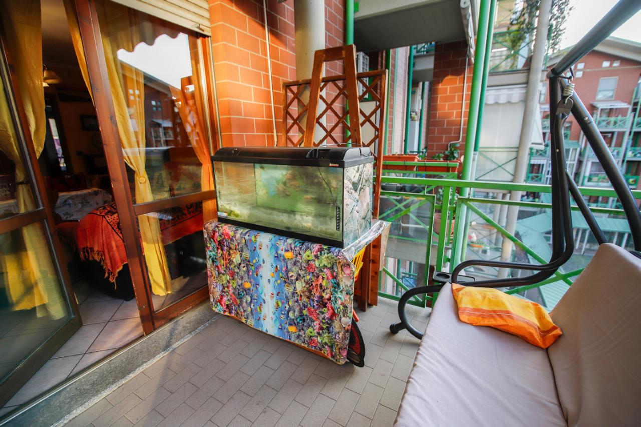 immagine annuncio 7 di 15