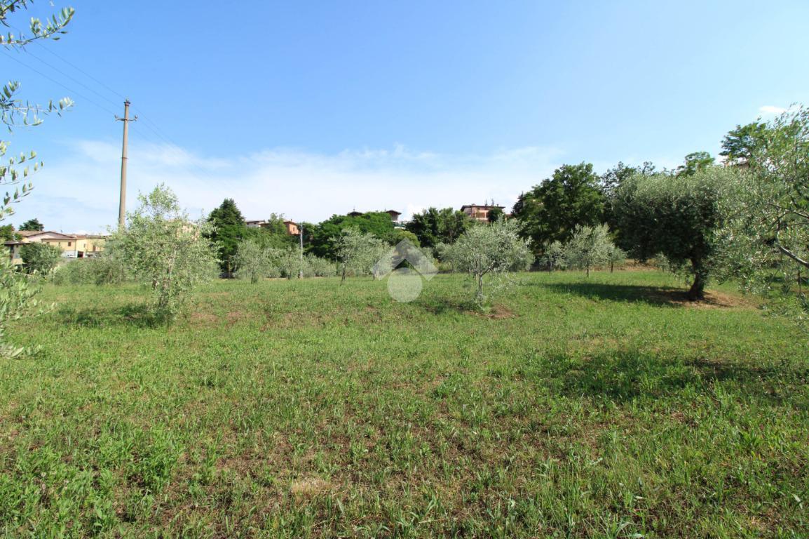 Terreno agricolo in vendita a Manerba Del Garda