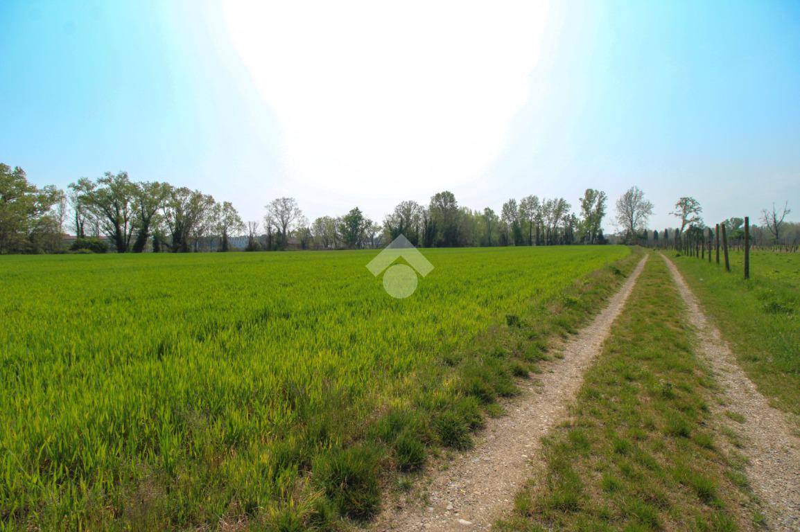 Terreno agricolo in vendita a Polpenazze