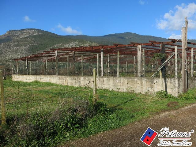 Terreno agricolo in Via Orione, Monte San Biagio - Foto 1