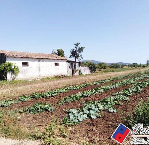 Agricultural land in Via Portaturo 18, Fondi - Photo 1