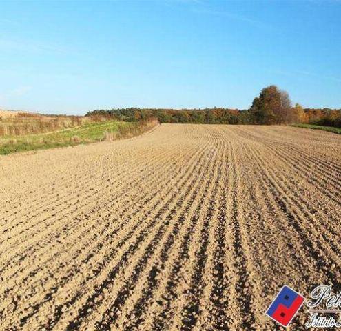 Agricultural land in Via Chiarastella, Fondi - Photo 1