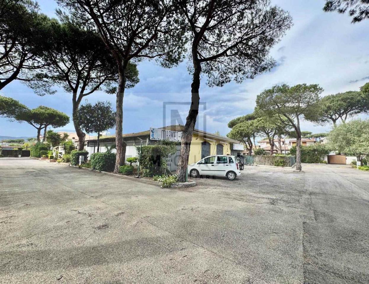 Negozio in Viale dei Pini, Fondi, {3} - Foto 2