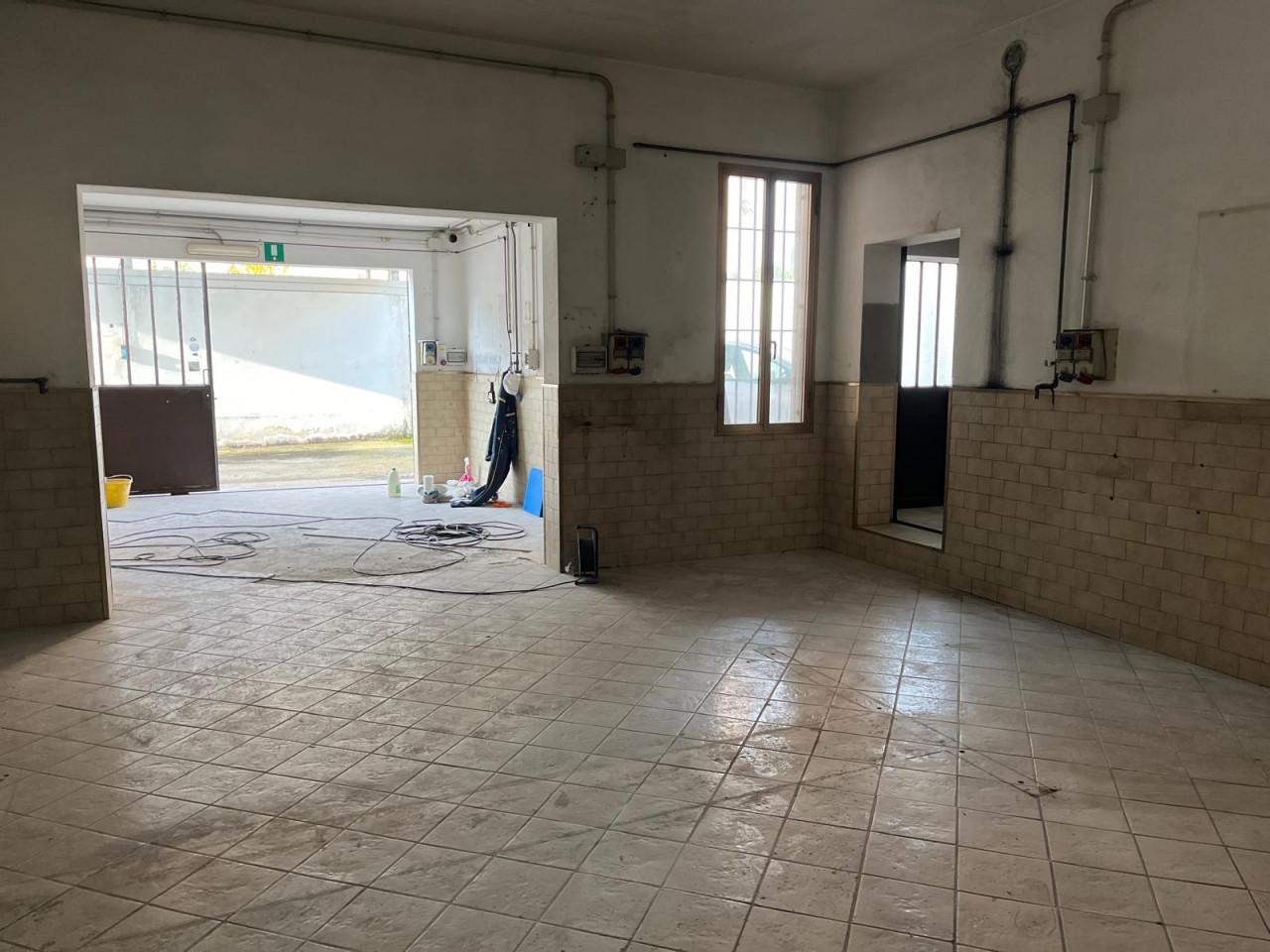 immagine annuncio 6 di 11